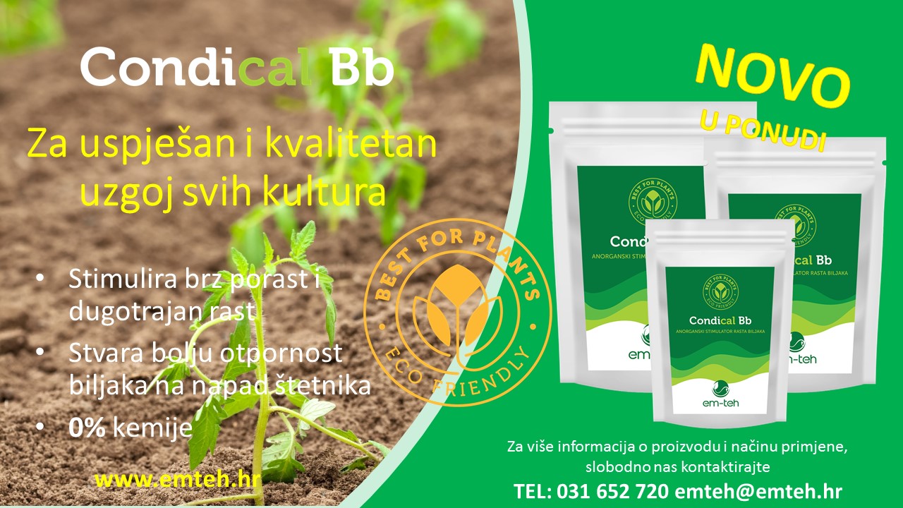 Condical Bb – mikrobiološki preparat s korisnom gljivom Beauveria bassiana - Slika 2
